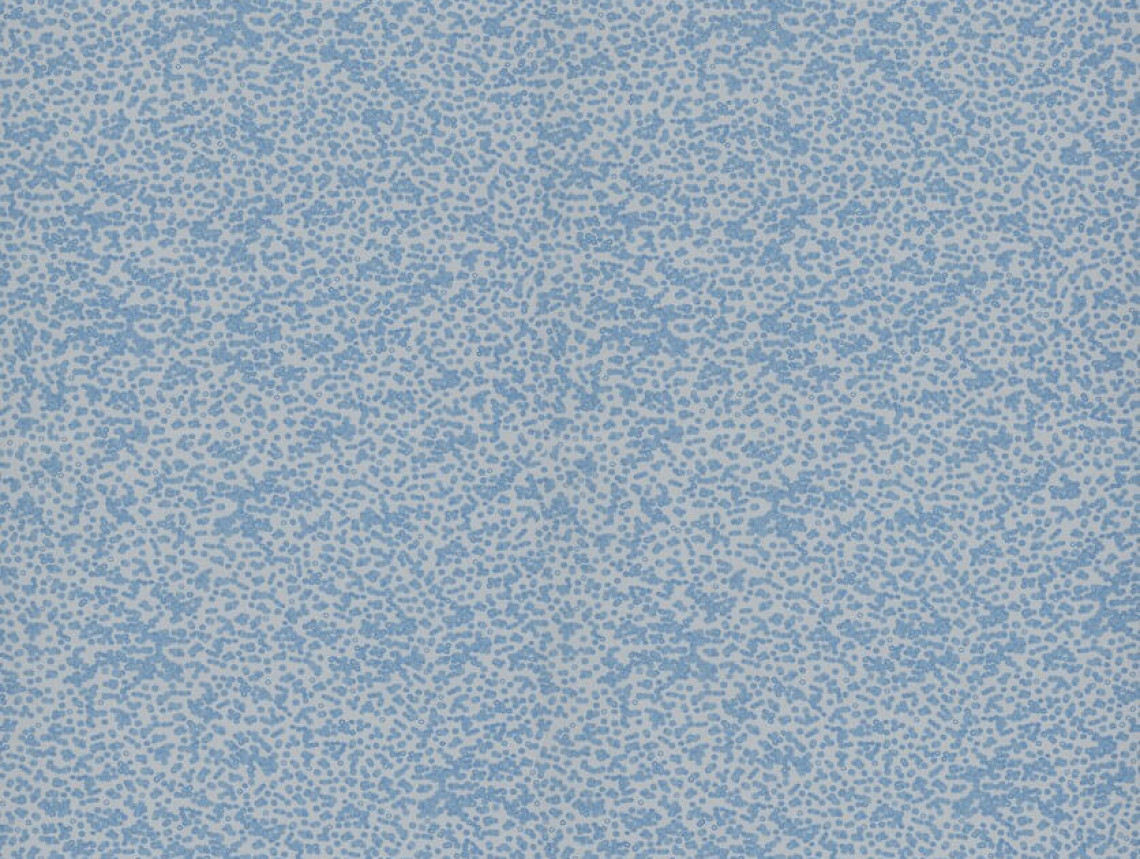 Flotex by Sottsass - 990202 Bacteria